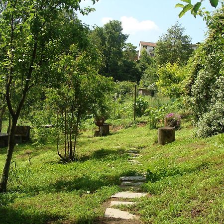 Appartamento In Monferrato Di Dominga Portacomaro ภายนอก รูปภาพ
