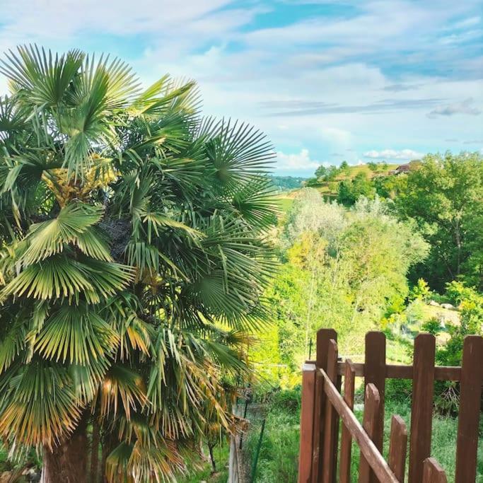 Appartamento In Monferrato Di Dominga Portacomaro ภายนอก รูปภาพ